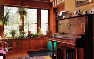 Old Orchard BNB St. Louis 5